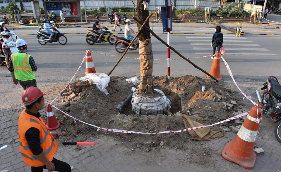 Chặn một chiều đường Cát Linh, xe cộ ùn ứ giờ cao điểm